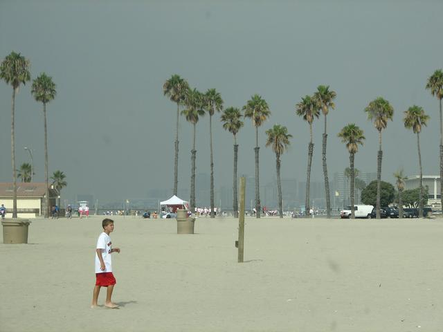 Long beach- Los Angeles