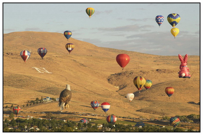 Reno - Baloon Race