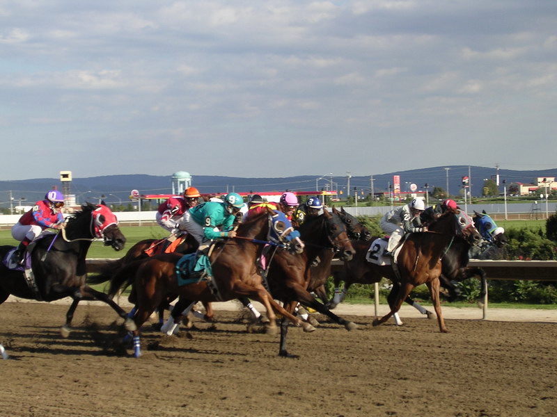 Charles Town Races