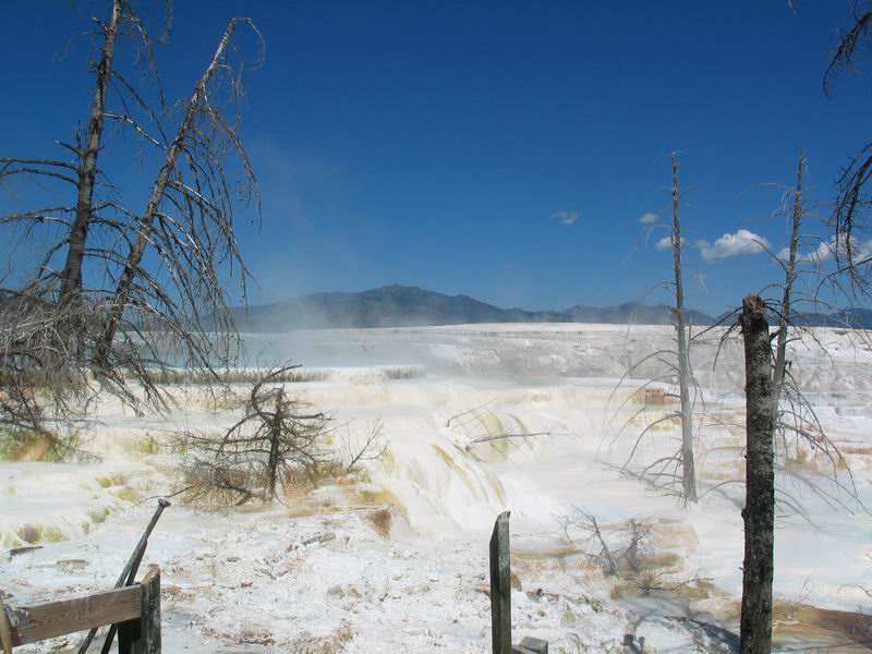 Yellowstone Park - Mammoth Hot Springs