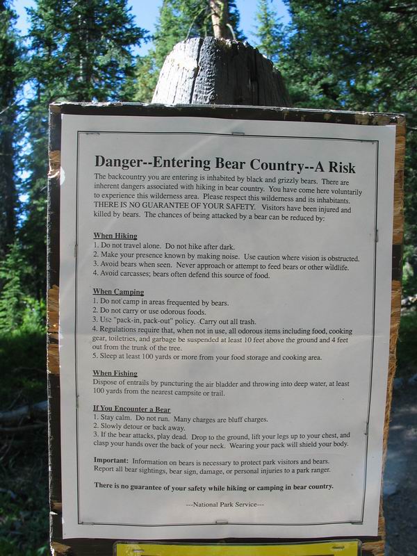 Yellowstone Park - instrukcje w razie ataku grizzlie 