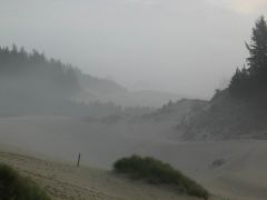 sand dunes - Hwy 101