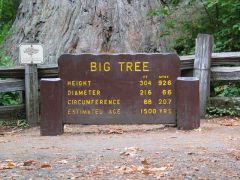 Redwood National Park - northern CA