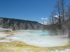 Yellowstone Park - Mammoth Hot Springs