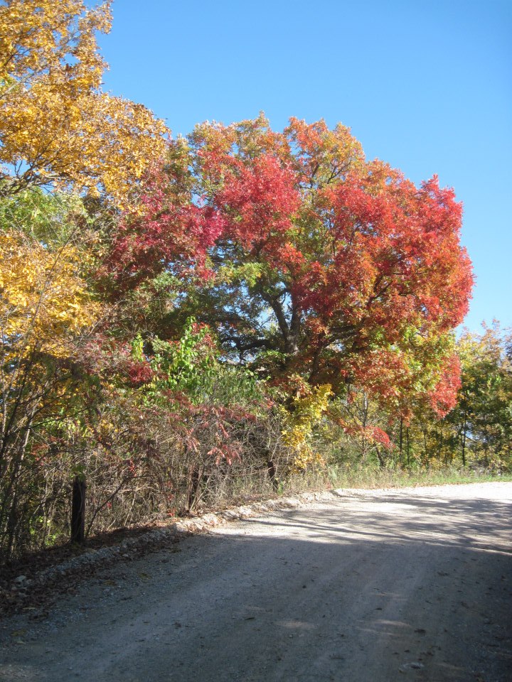 Kolory jesieni w Missouri